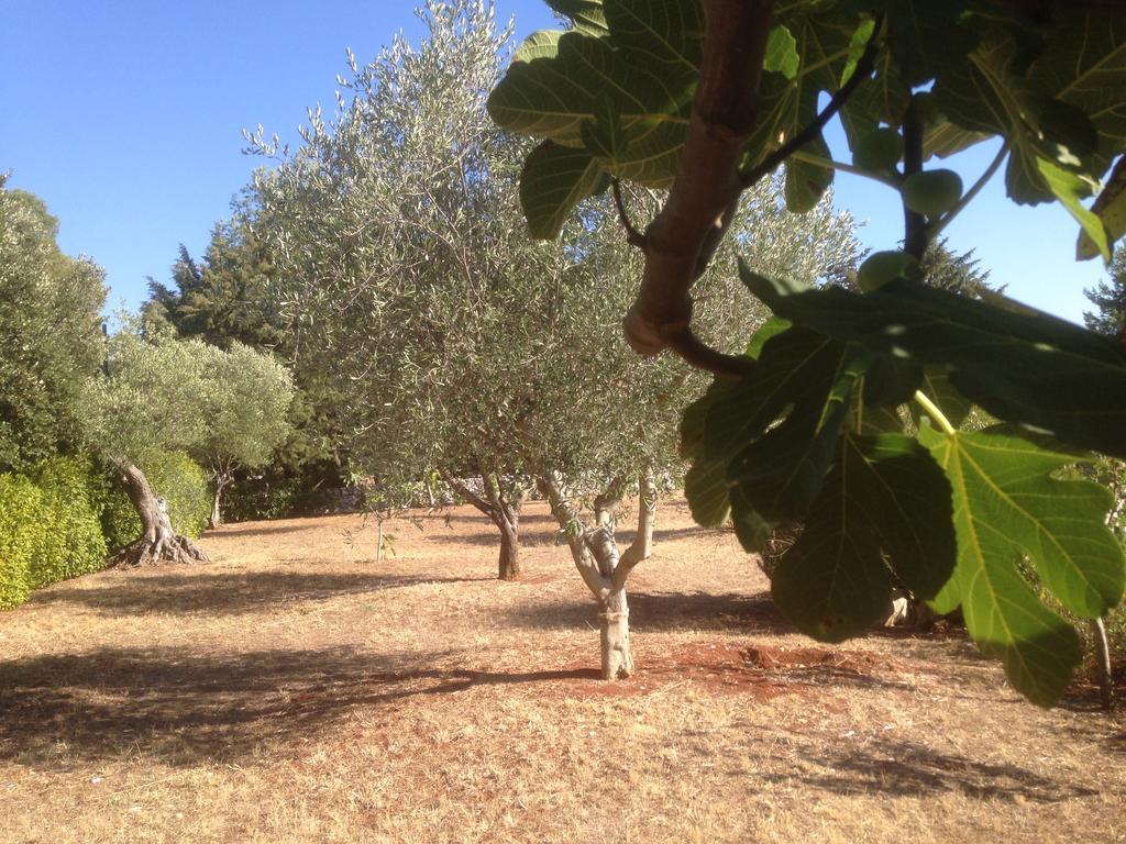 Villa Trullo Picchiagiuda Ostuni Esterno foto