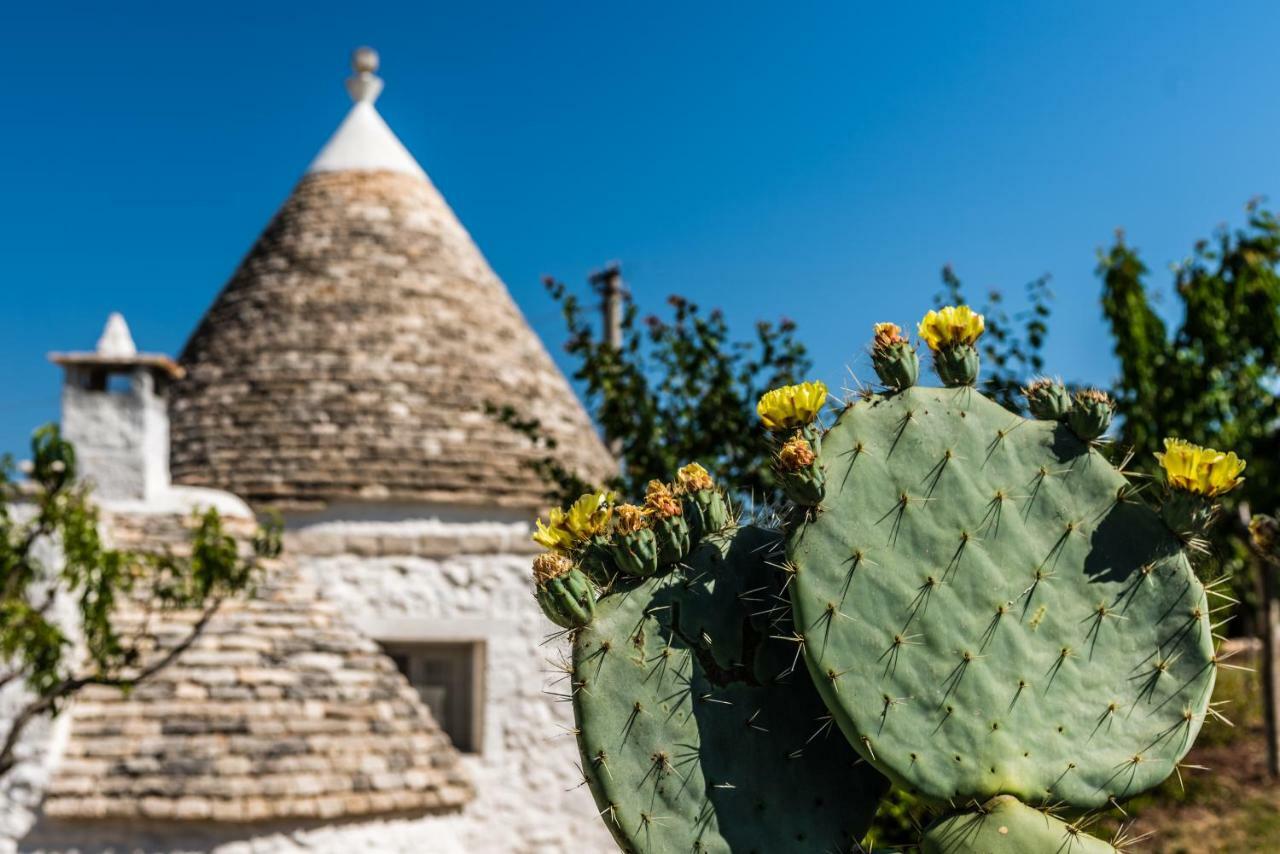 Villa Trullo Picchiagiuda Ostuni Esterno foto